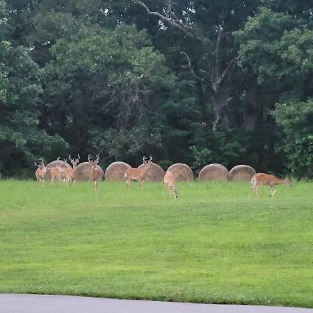 Deer Run Estate Llc Hotel Marshfield Exterior foto